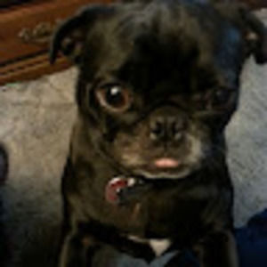 Meet your Posher, Stacey